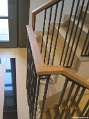 IMG_5582.JPG
